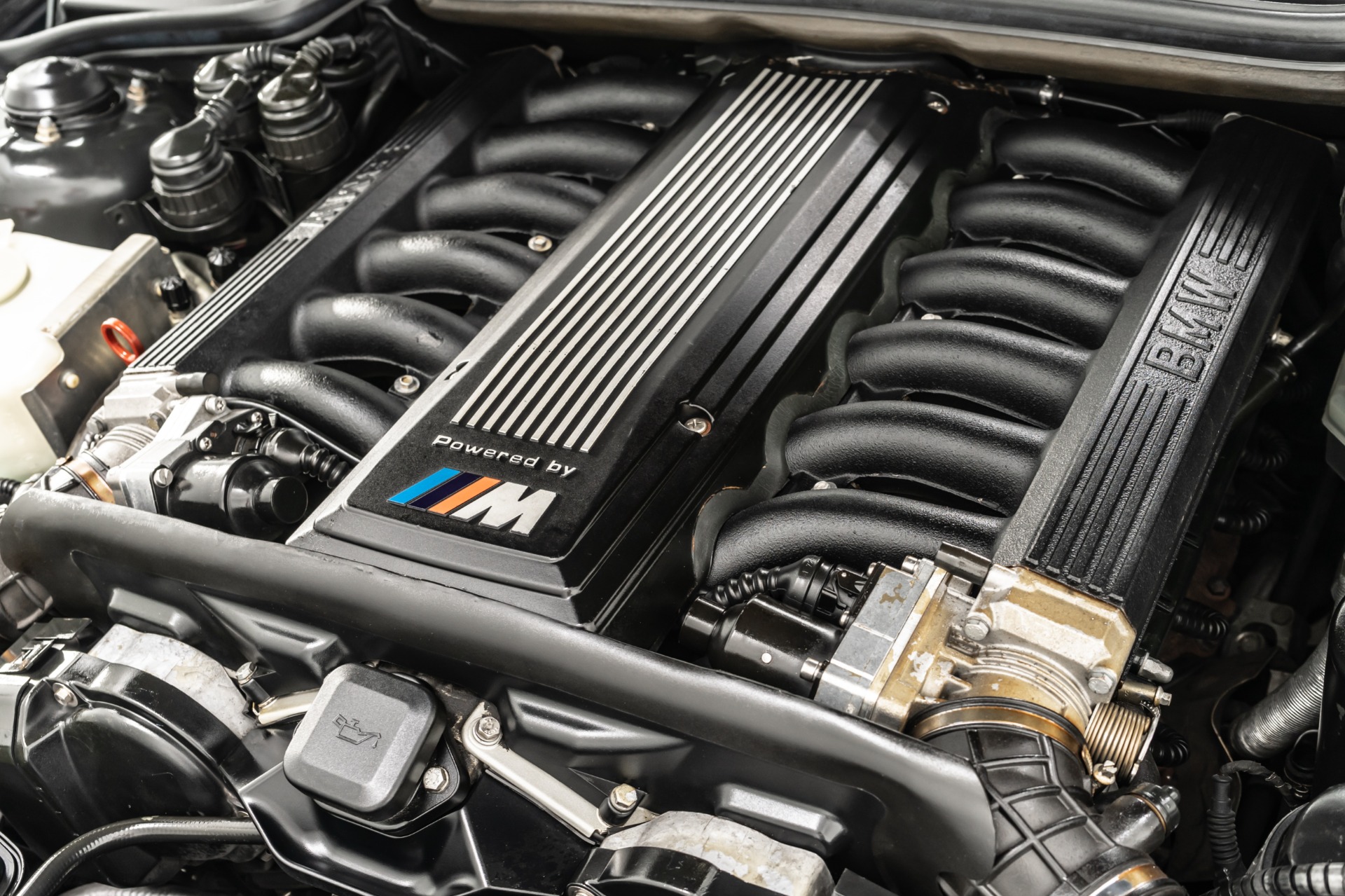 im-detail-hebel-ozeanien-bmw-850-motor-muskul-s-voraussicht-freitag