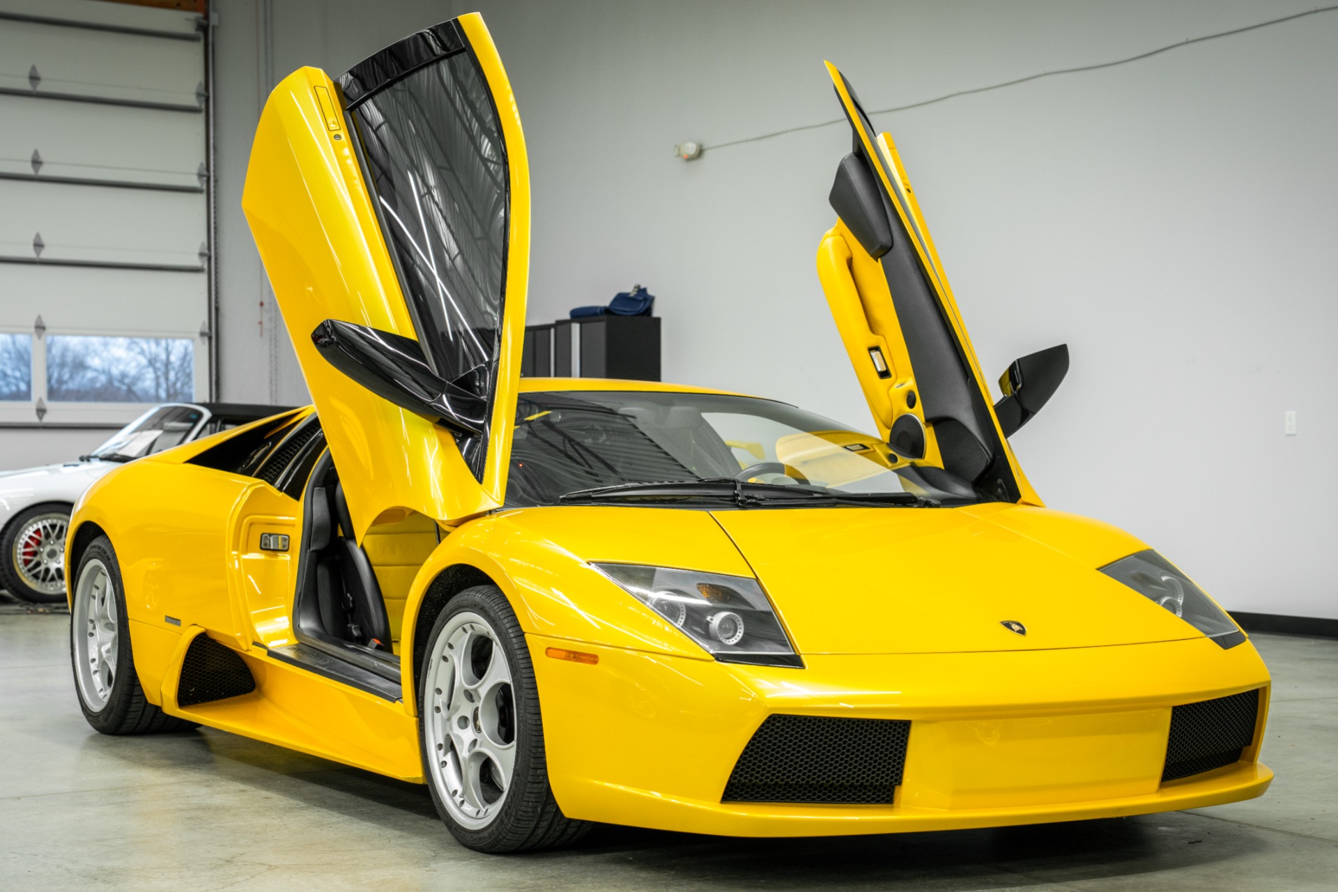 Used 2003 Lamborghini Murcielago 6 Speed Manual in Giallo Orion